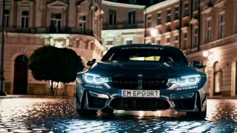 Video 5, shot 4: Front view